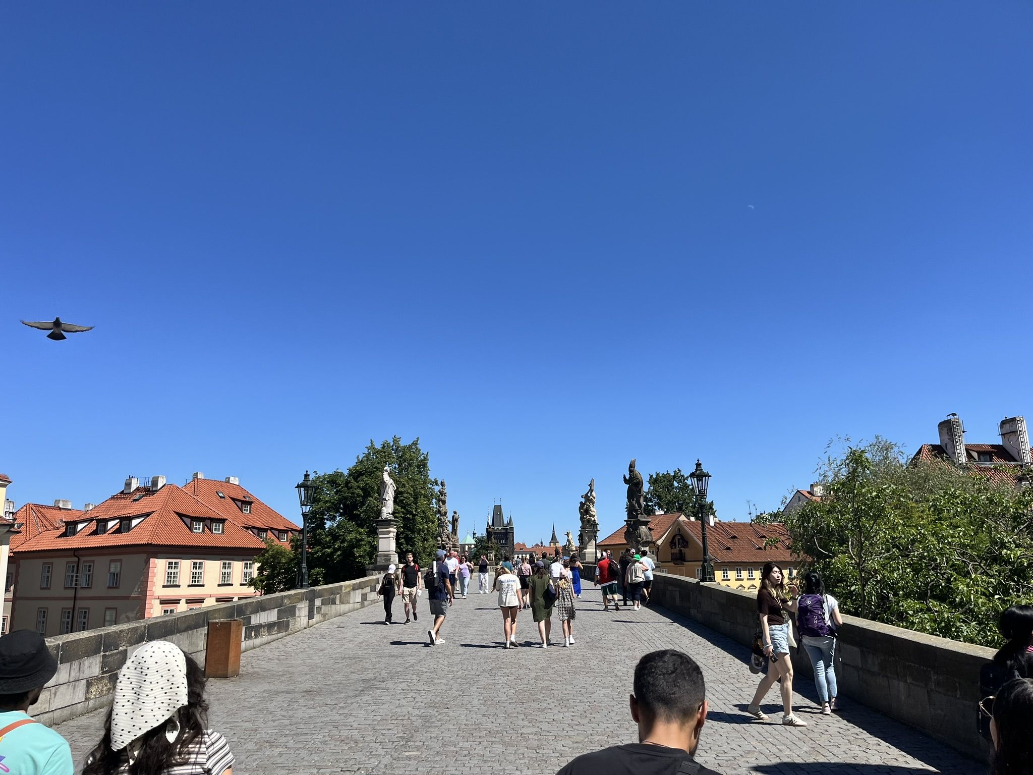 Wakacje Ministrantów 2025 - Karkonosze i Czechy