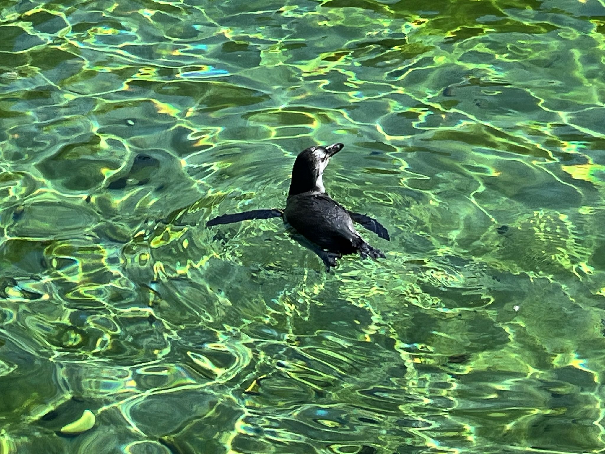 Wakacje Ministrantów 2025 - Karkonosze i Czechy