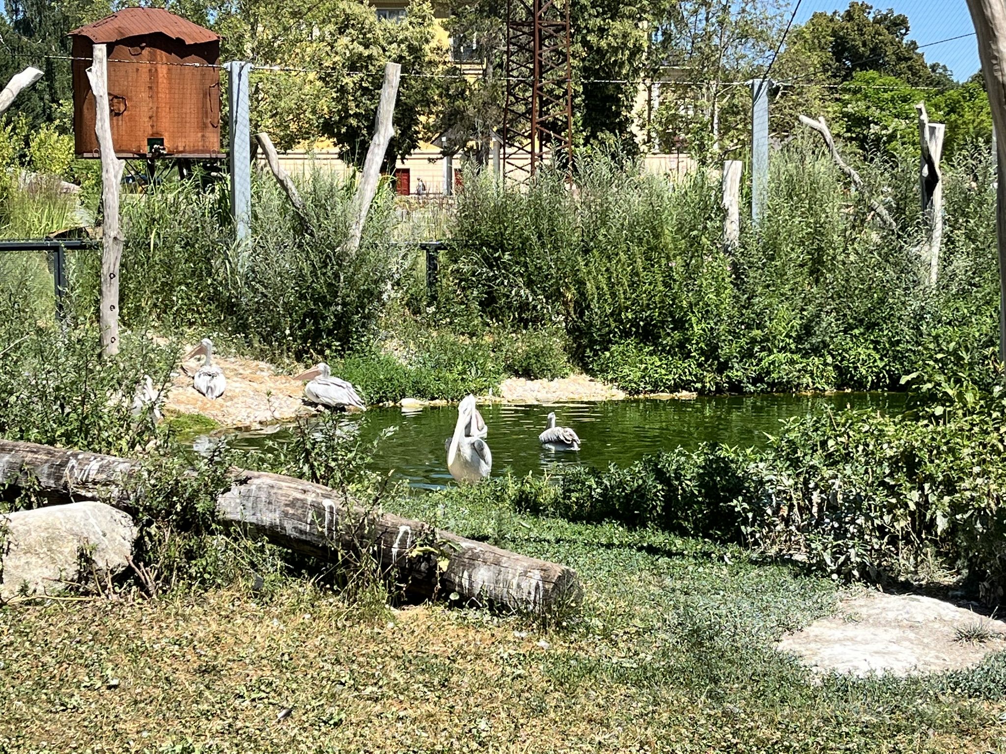 Wakacje Ministrantów 2025 - Karkonosze i Czechy