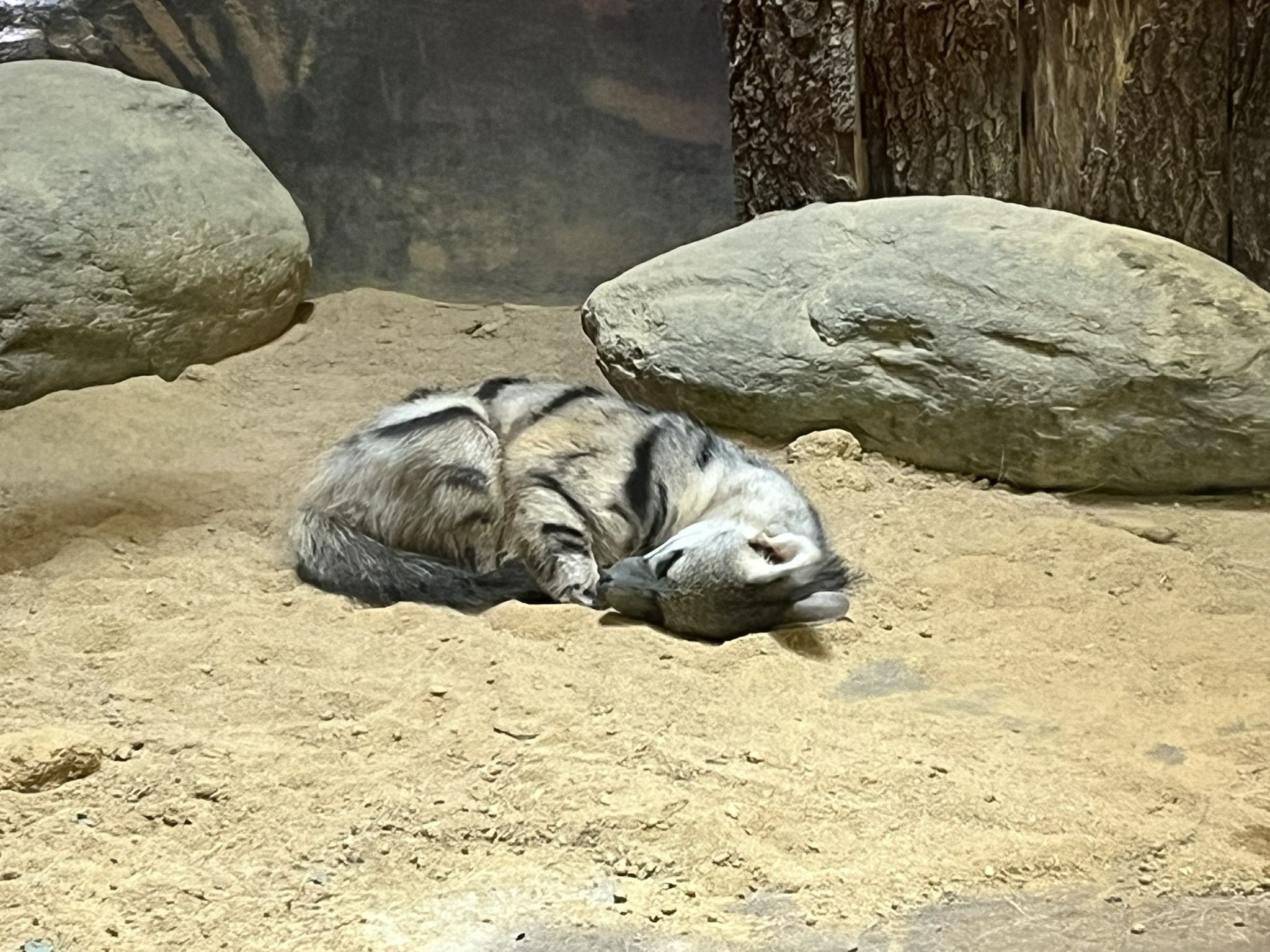 Wakacje Ministrantów 2025 - Karkonosze i Czechy